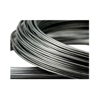 Cold Drawn Stainless Steel Bright Wire